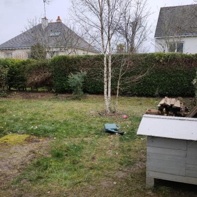 Photos